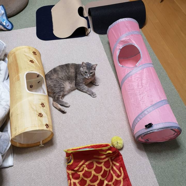 B1a4197c cc97 4cba a7cb 4b3bf69ed00d 1581990126726