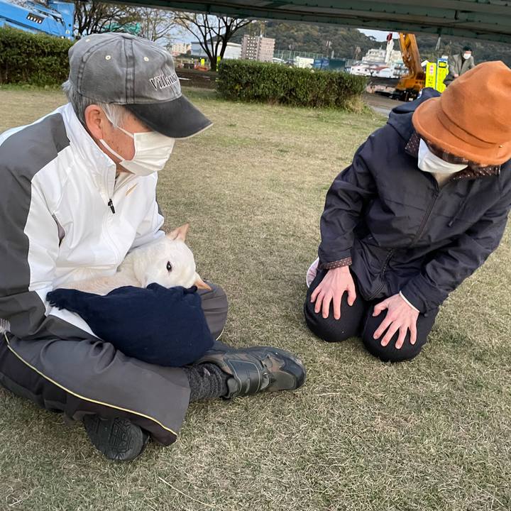 B1a44a32 493d 457b 9f1d 00d7258228b2 1670407905386