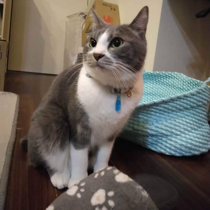 B1a47c92 3d24 403e b7dd 7af6515875be 1670845154564