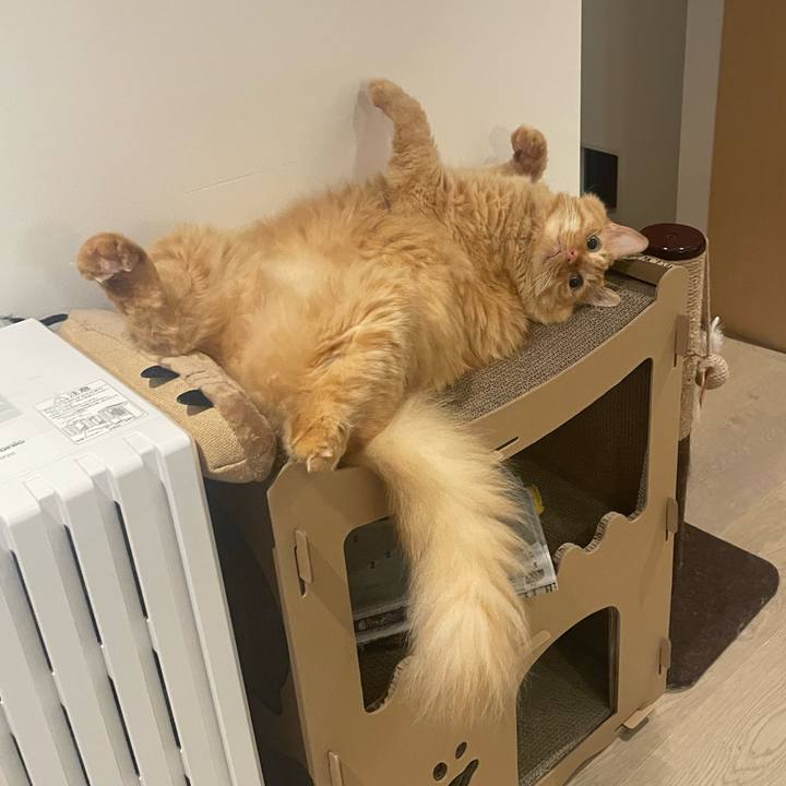 B1a4a0af d73b 4af1 8424 5f24aa74f5ea 1759927467334