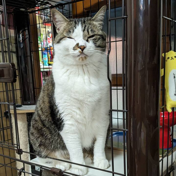 B1a4fd40 c941 4c24 8c9e ee9b0b02636c 1714834621142