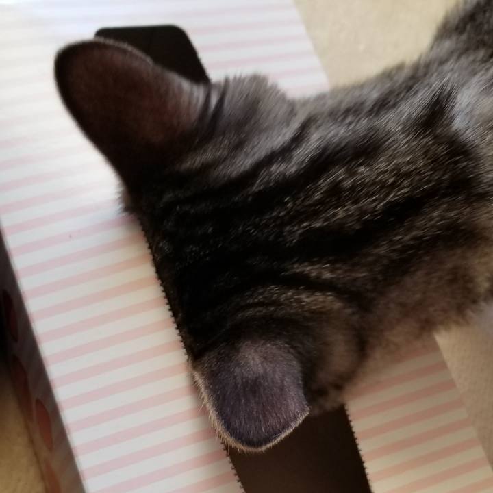 B1a506fc 0dbf 48f3 b49e 7ea2770b3e1e 1670311208677