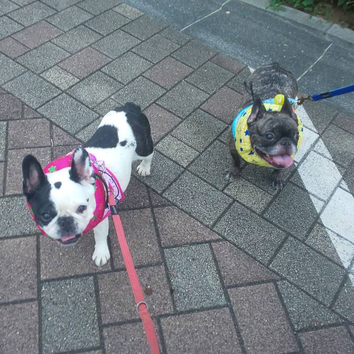 B1a50e6b e2f9 4633 900a 3abf742cb61b 1693694477616