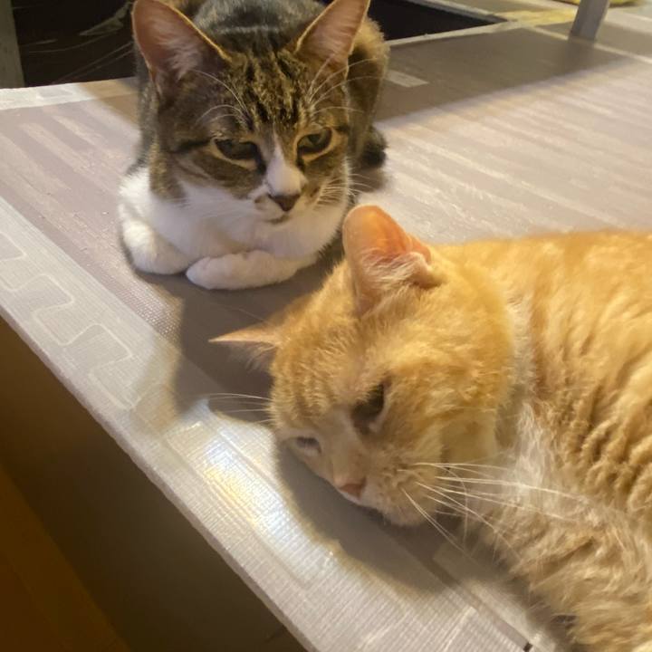 B1a551d1 8db7 4b2f 9711 87c045123a11 1622818039052