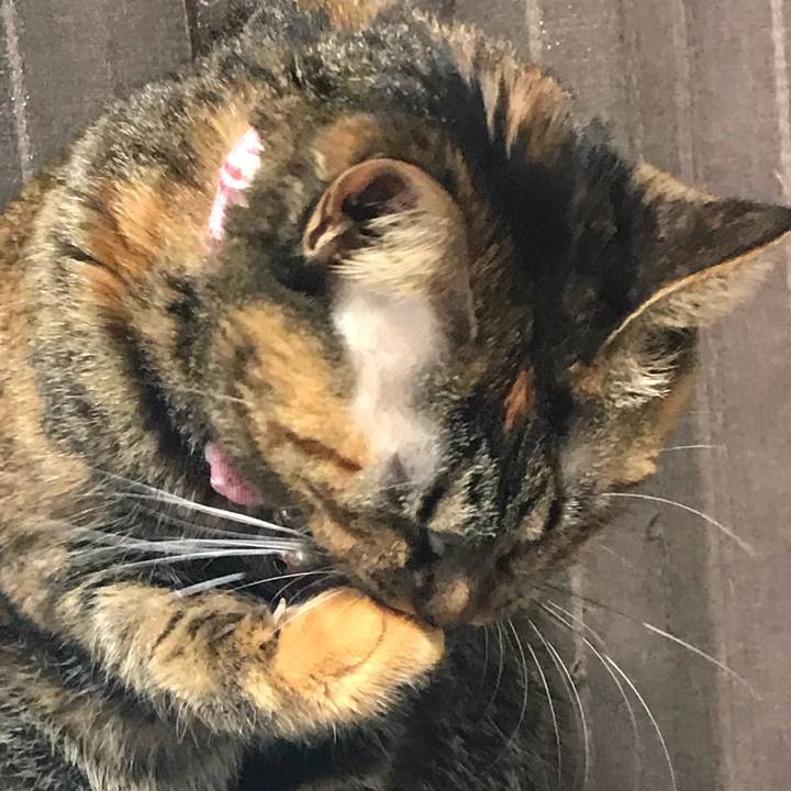 B1a5592a fb14 4b6e 8ddf 73dd8daa381e 1515969821483