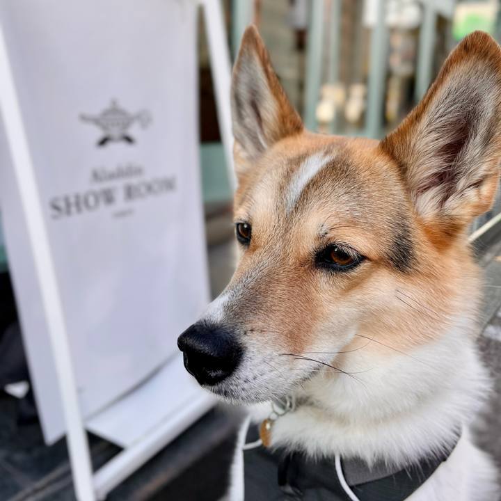 B1a56875 964b 455c 9110 f3307f8fcf59 1763097474686