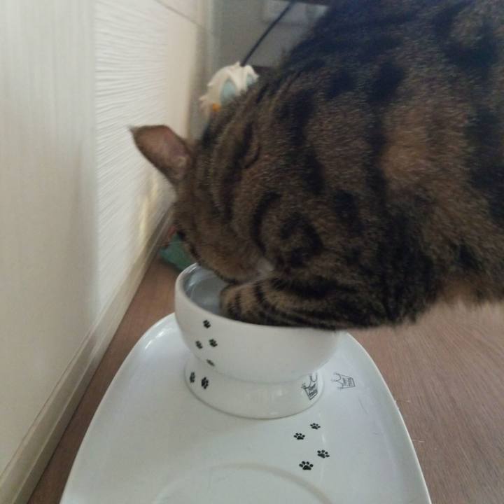 B1a5b90b 30ae 43d1 a973 ba9e88fe490a 1588626025058