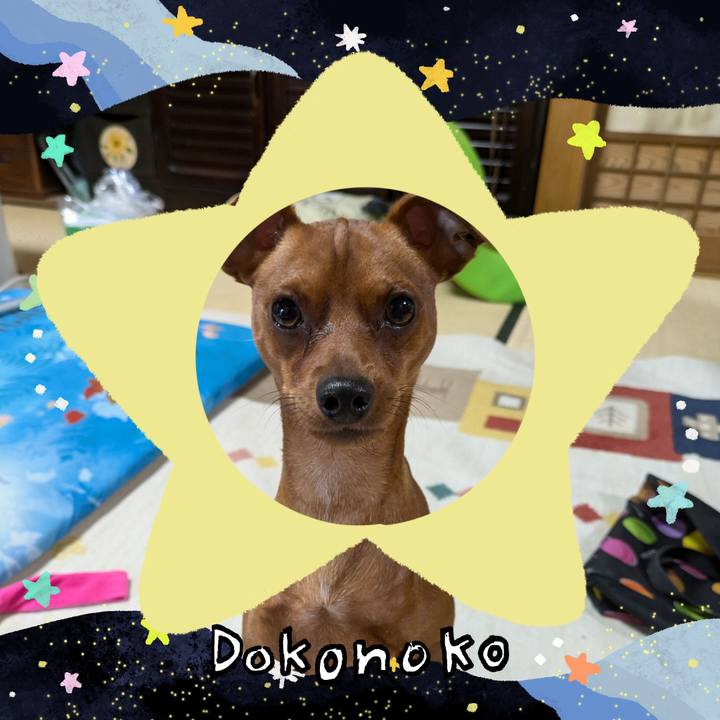 B1a5e9d9 adaa 46de b51f 5f165c15f757 1720938086153