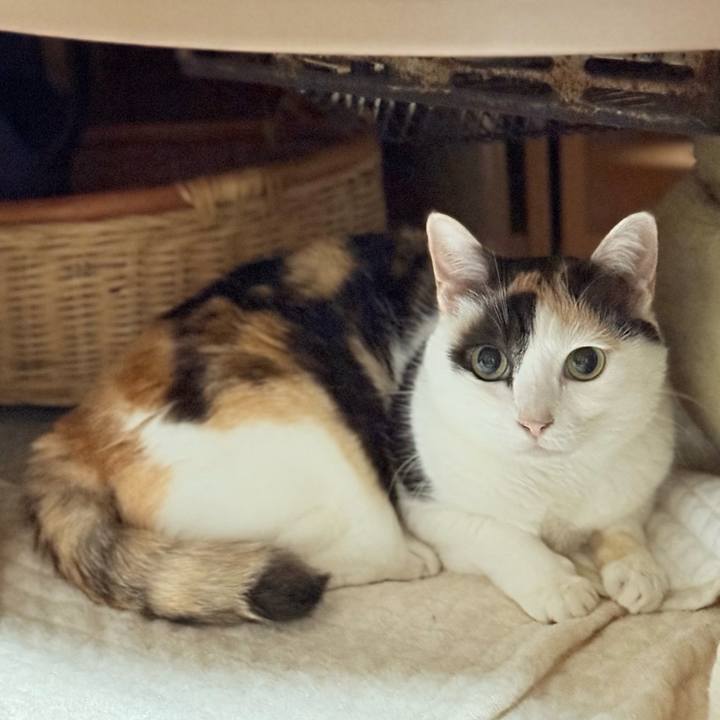 B1a5f65b 5d57 4a08 8bfa 5a6e53c25c6c 1750904421868