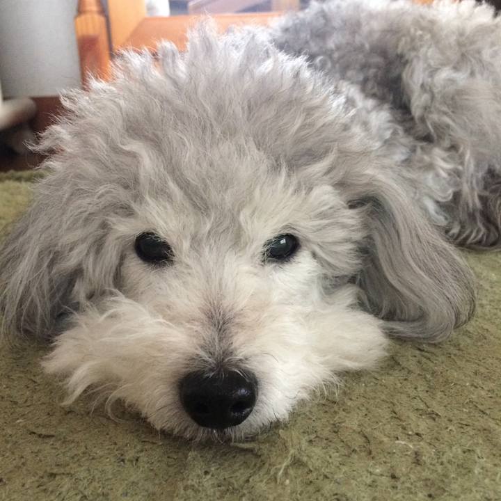 B1a60305 64b0 44c3 aa5d a305b4c63231 1520337808066