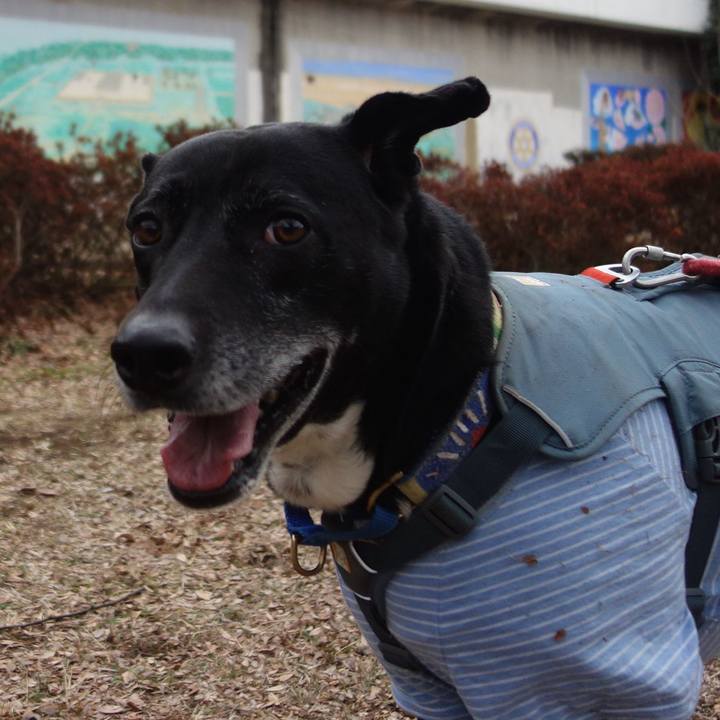 B1a609e9 e018 43e5 998d 5190b9765178 1707097931688