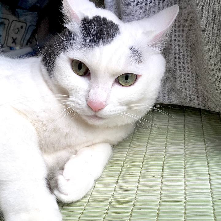 B1a637e7 db57 4c6a 8661 bad67f74efaf 1582605799678