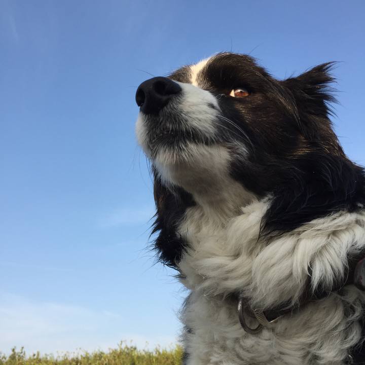 B1a64a36 98d3 4e57 8465 c3b92e10d576 1553034406949