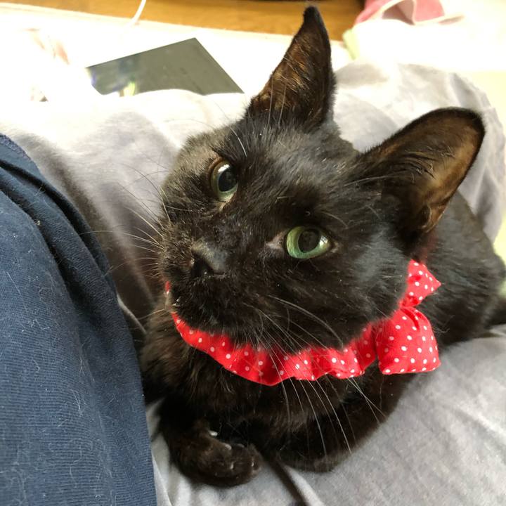 B1a651fd b005 4919 b547 d8037976e15e 1561114046579