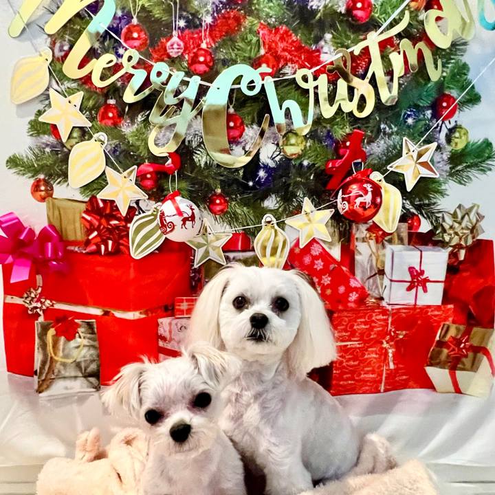 B1a65954 7392 46f5 a0bb 383e9aa8296e 1671444486727