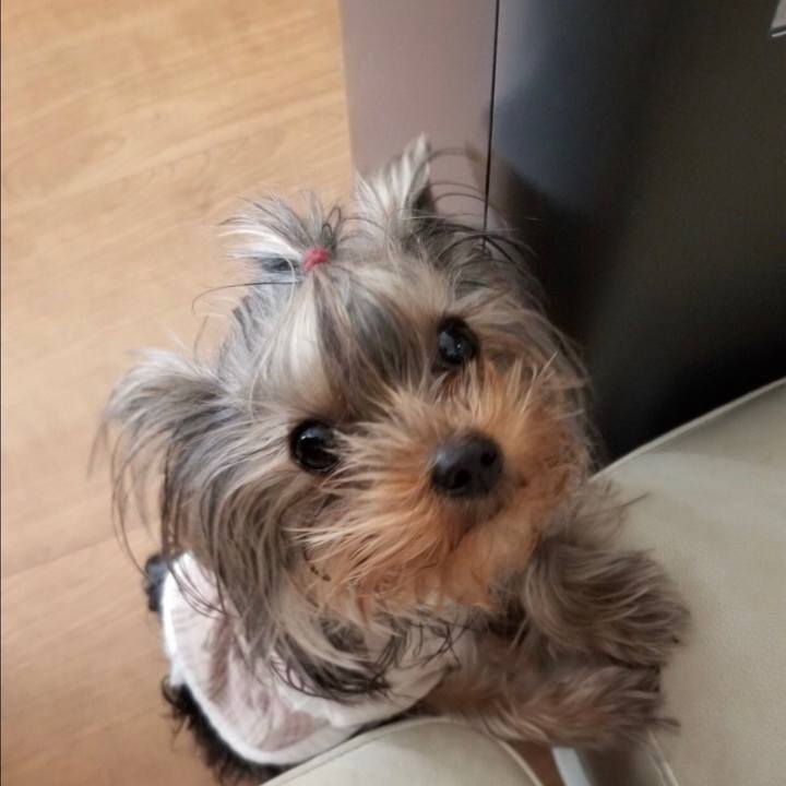 B1a670c7 729c 493b 9df2 cd97ac0fd06d 1642846187260