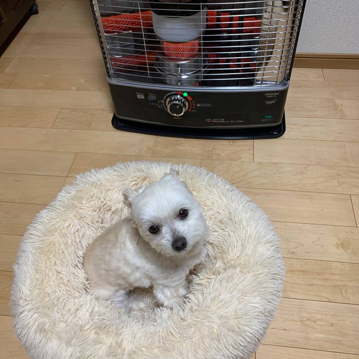 B1a6bad7 64c5 40f0 a960 de0b4ca4b49e 1649929423848