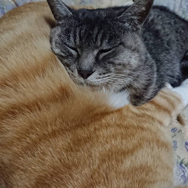 B1a6bbb9 dcba 428c 90fe 89f7c9507039 1575895695618