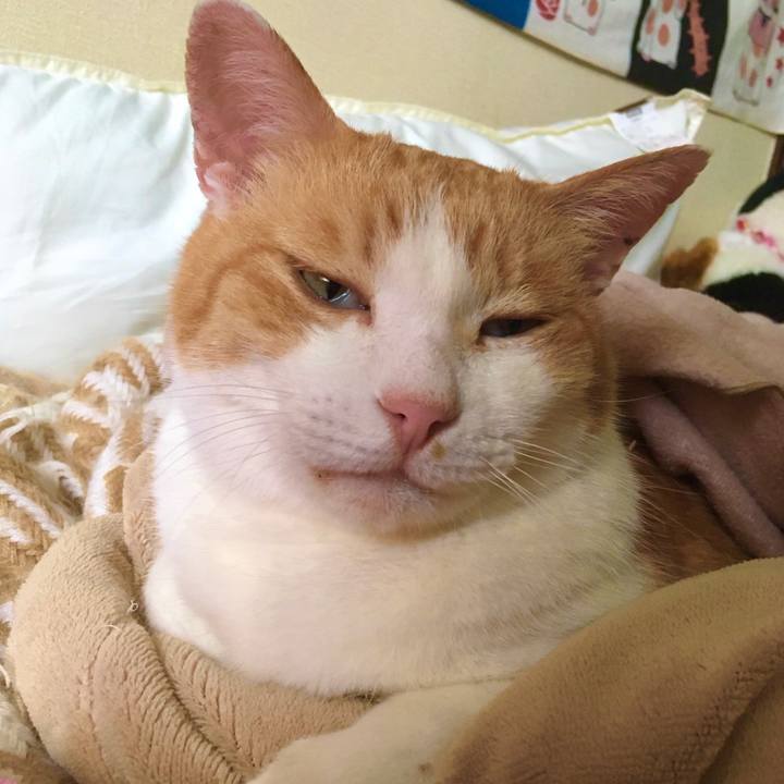 B1a712f6 3609 45e7 ba45 cffd6b6f8a9b 1588831977800