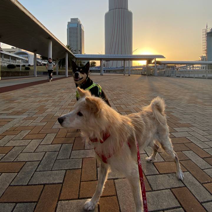 B1a741e8 f53f 4a81 8c40 1b0b7e64441e 1647493084549