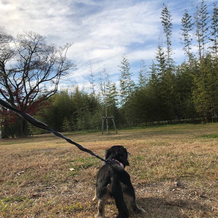 B1a74a51 ec82 4c84 b35f 3cb5407bf406 1638176292041