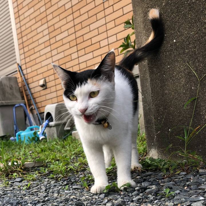 B1a7503a 8389 4440 8036 8e1c1d11a0a9 1630796153630