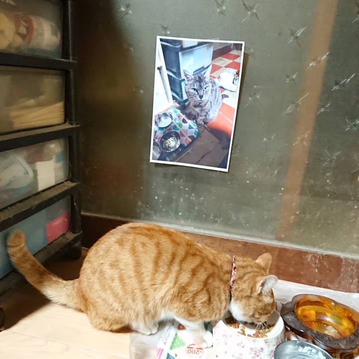 B1a7599e bd46 4200 bd69 9e97f9b88581 1602705817993