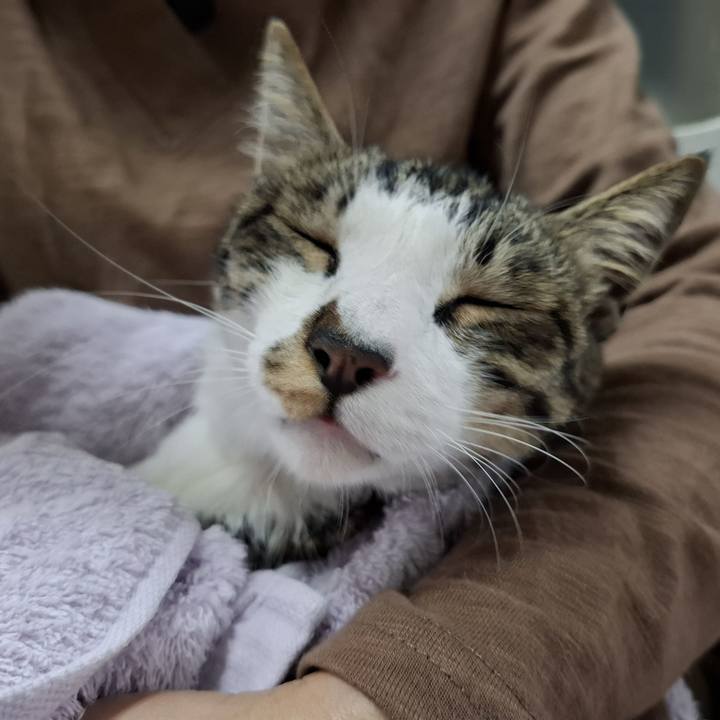 B1a78b46 21ad 4645 8794 75e7cbffc53e 1766468970388