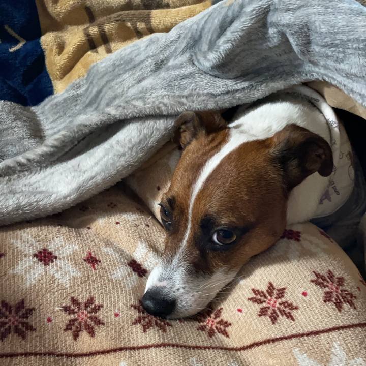 B1a7ac98 613a 4c6b 9cdf da1a6ace6c32 1634688583456