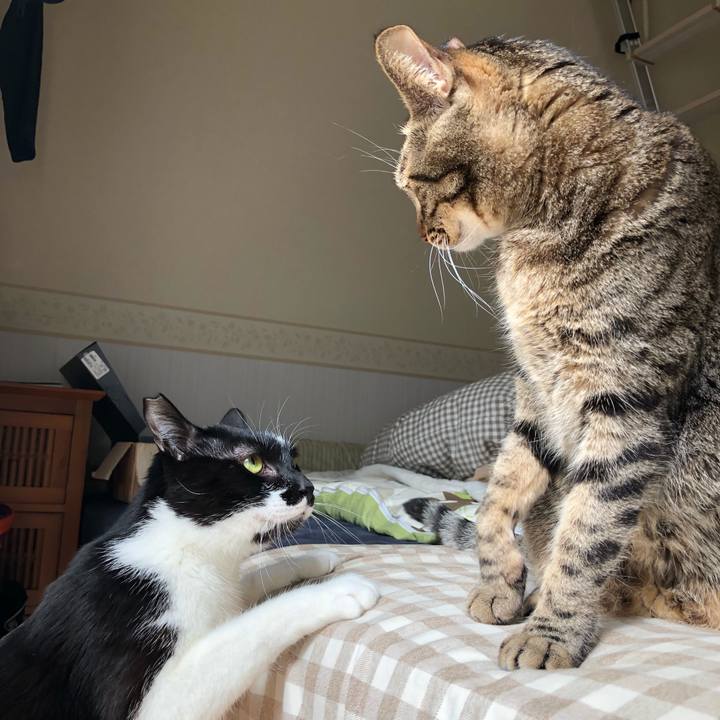 B1a7cd07 8276 4398 8a1e e29bed8e34ca 1552506830957