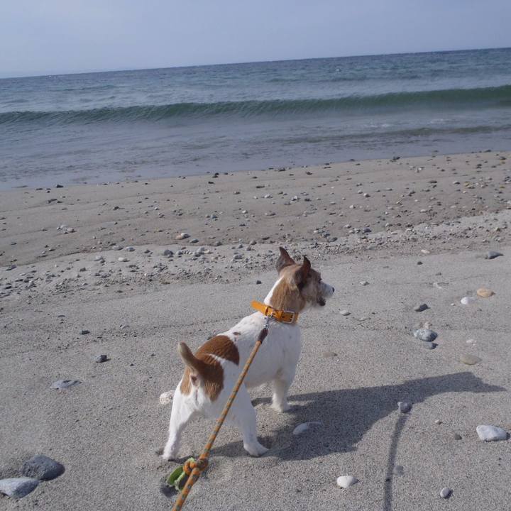 B1a7e462 d48f 40d6 b355 26539371f08b 1521891027062