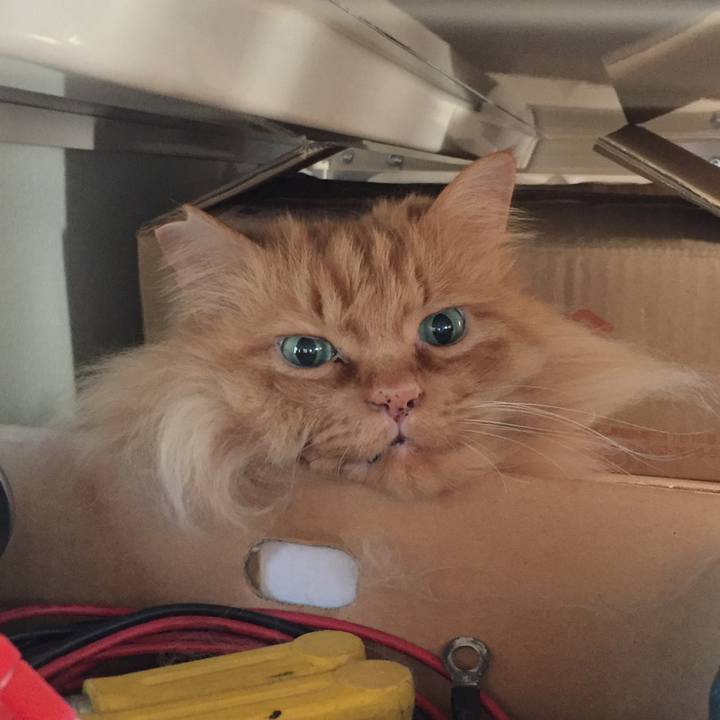 B1a7f46e 9723 434c a58b b205a86e5f28 1619382592792