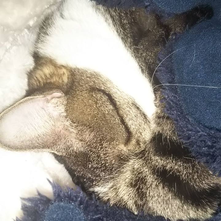 B1a7f655 0a32 4b37 be37 b81be23bae40 1604288242956