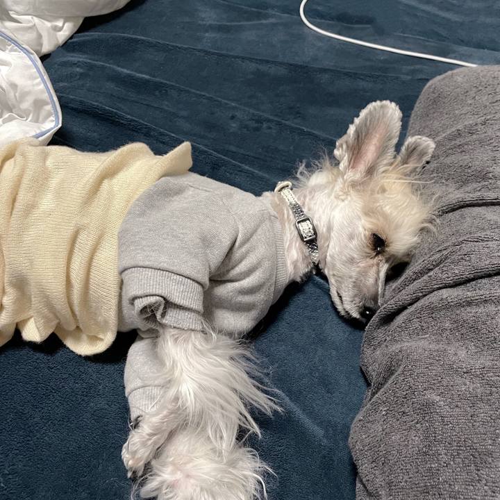 B1a80c8f f3ea 4b76 b195 f6fa41fdd6ed 1762147344110