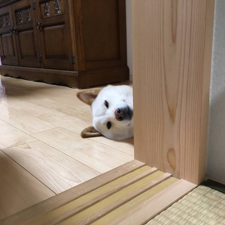 B1a82c43 809b 41c4 b800 0d2b15e35462 1552919711173