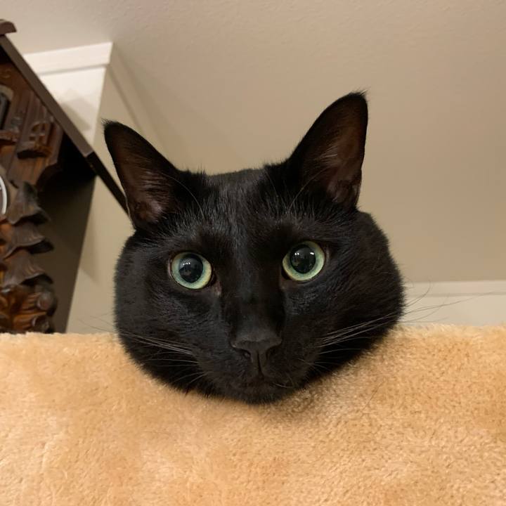 B1a82fd0 04eb 4650 a298 9a0ddf35e875 1594393296081