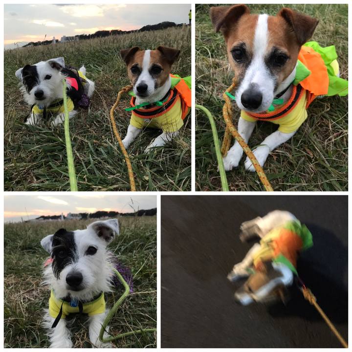 B1a830a0 082e 43af 9443 f0bea5914045 1540975482069