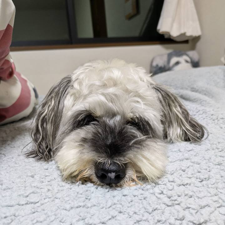 B1a88bd9 fed3 440a a7a8 d34bd5e0f80c 1755008321403