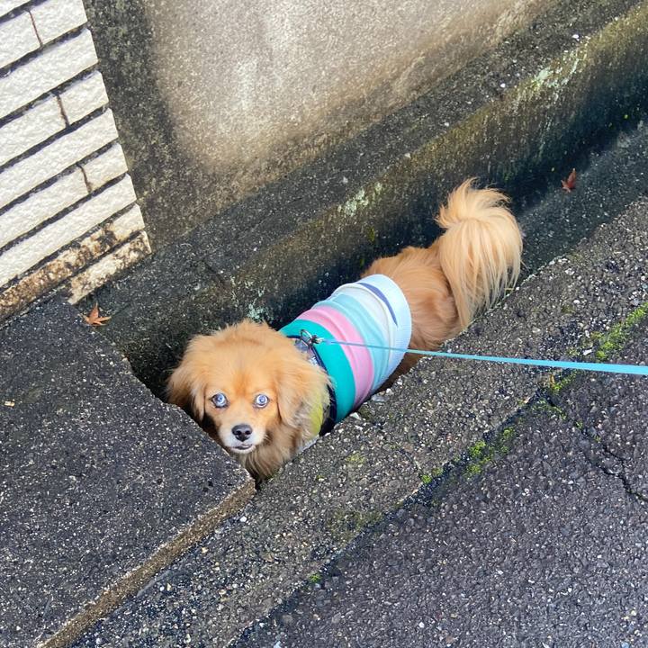 B1a8a4d8 1d22 4b7d 86d8 bcb8e7f65247 1673746244847