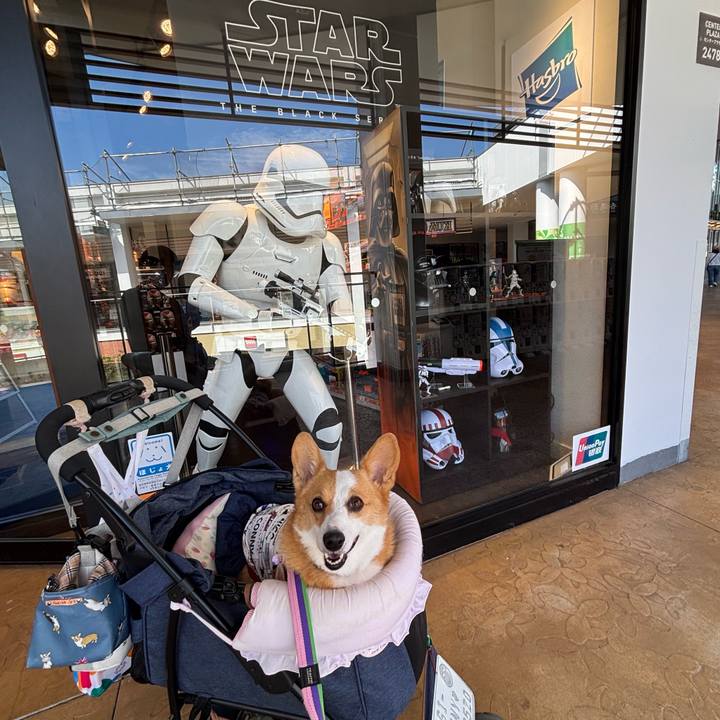 B1a8b4bc d9be 4f92 bf35 557eeeb88ce4 1760759109368