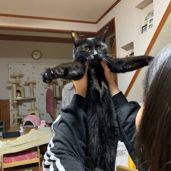 B1a8c661 4eb5 4d1d b24e a6c719d53e73 1608814079324