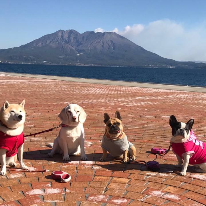 B1a8d784 a2e8 477a b798 722f4d17132a 1667577410458