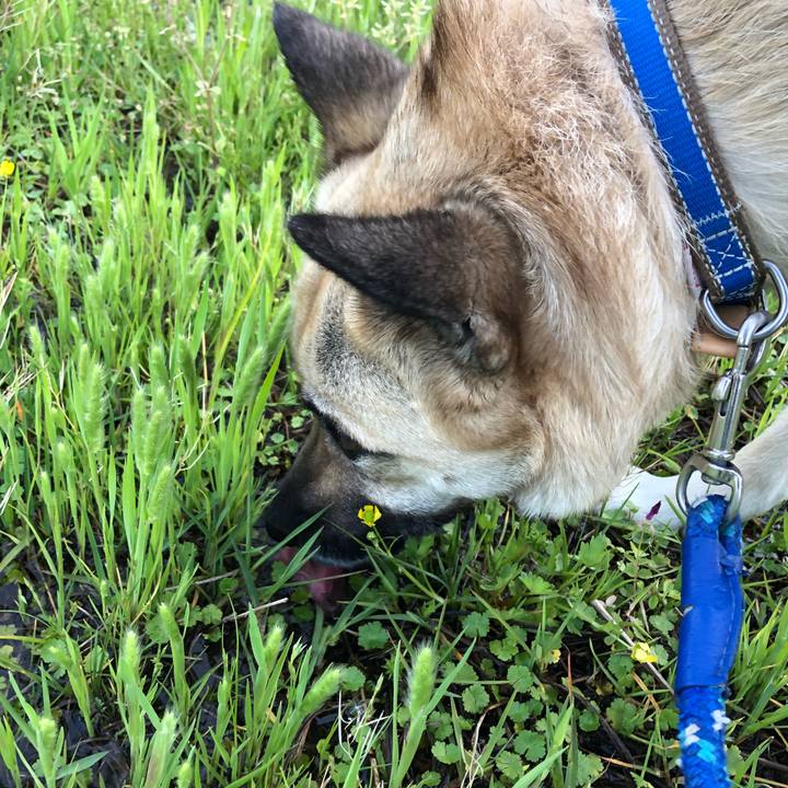 B1a8de2b 4422 4e87 a0d1 48ac017aac12 1524657934336