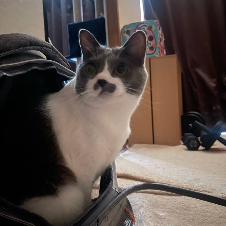 B1a8e873 e469 447e 9594 03b51afb4440 1723499934949