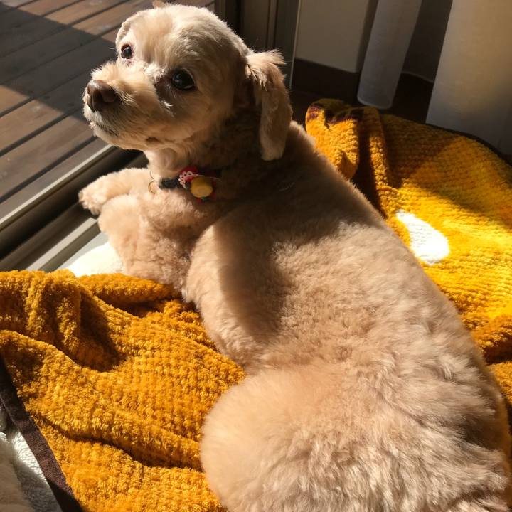 B1a8f7c4 4e40 491b b144 bb69be34ead1 1508988904631