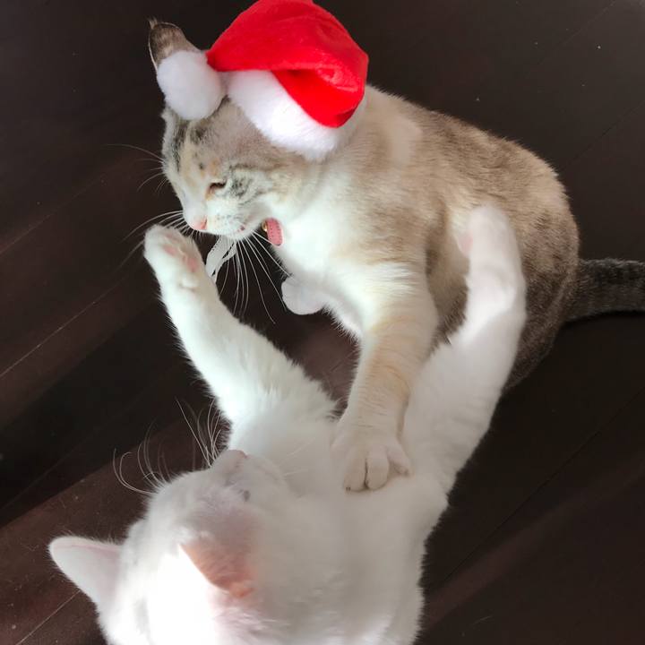 B1a8fa95 fabd 4e7d 8866 ec86c775a5a4 1514093412133