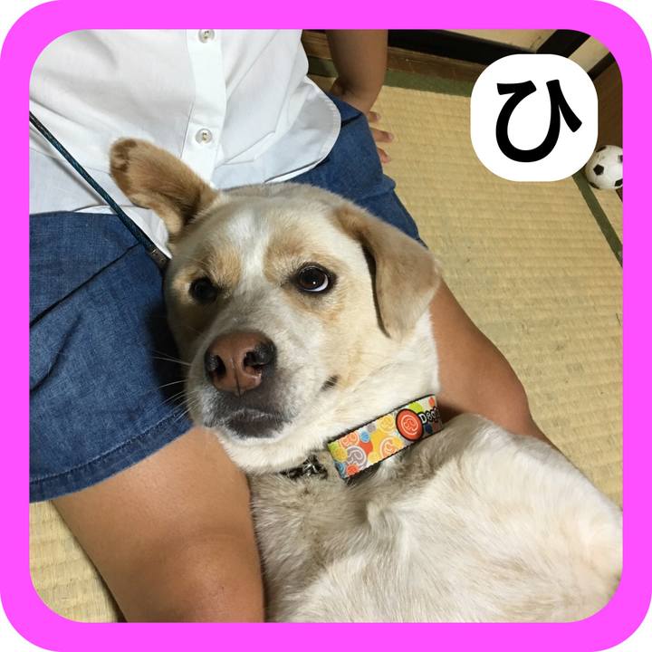 B1a90fc7 74c5 49d0 95c5 e35e76afde7a 1514980003336