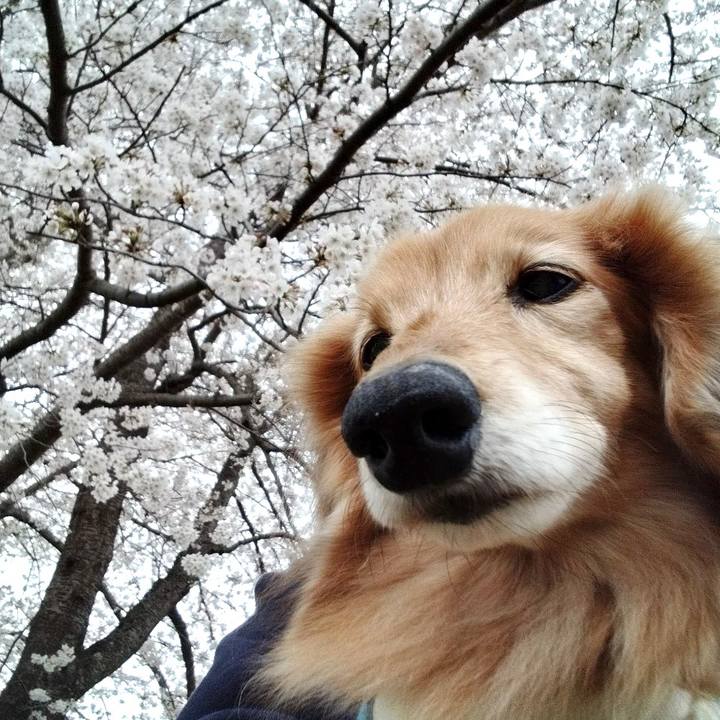 B1a94d46 5b85 4f36 acc7 7a5dcea54807 1679922467518