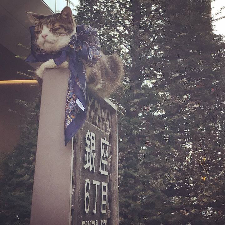 B1a98f51 d711 4d31 ac0b 846fd8d52dab 1520842632863