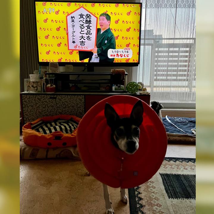 B1a9c20f 4643 4962 bd76 169d5db79fb8 1641765791818